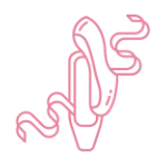 УРОКИ БАЛЕТА